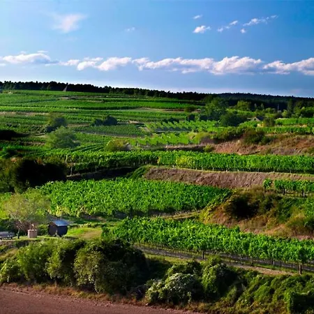 مزرعة للإقامة Winzerhof Stauffer *